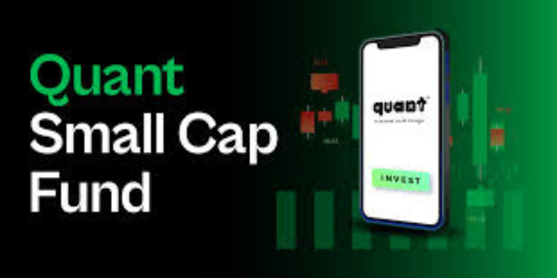 Quant Small Cap Fund Review
