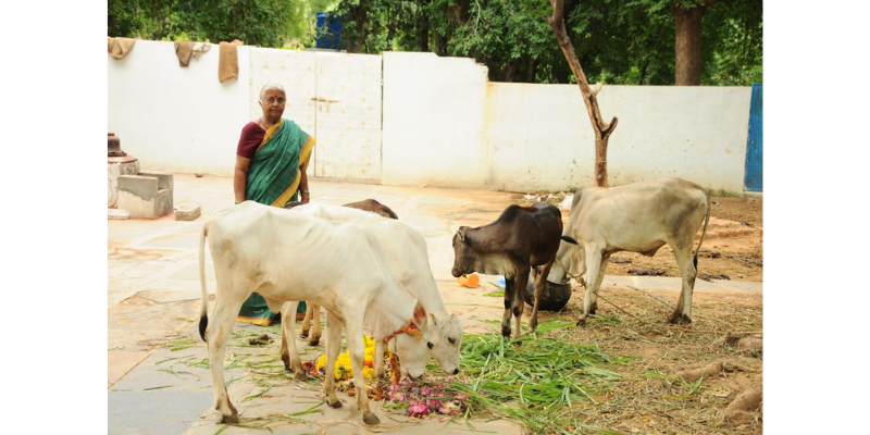 Sri Madakala Vasudeva Reddy
